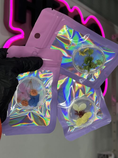 img_6590 Flores secas