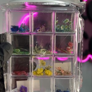 img_6623-2 Flores secas x12