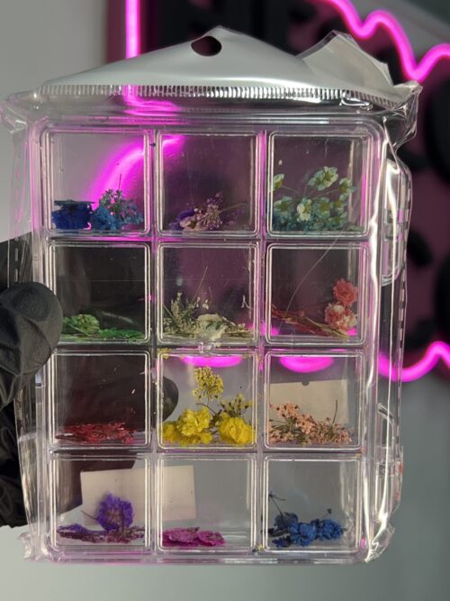 img_6623-2 Flores secas x12