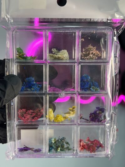 img_6649-2 Flores secas x12