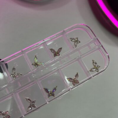 img_0867 Deco Mariposa Strass